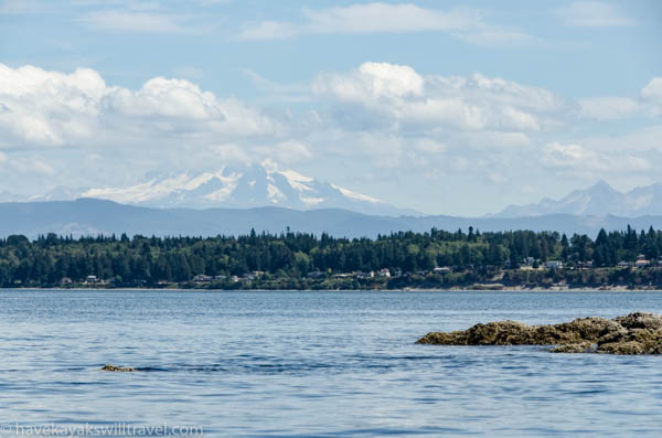 A view from the water, with Mount Baker in the distance.