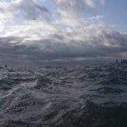Catching the surf after the storm